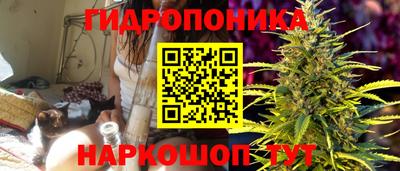 мяу мяу мука Краснокаменск