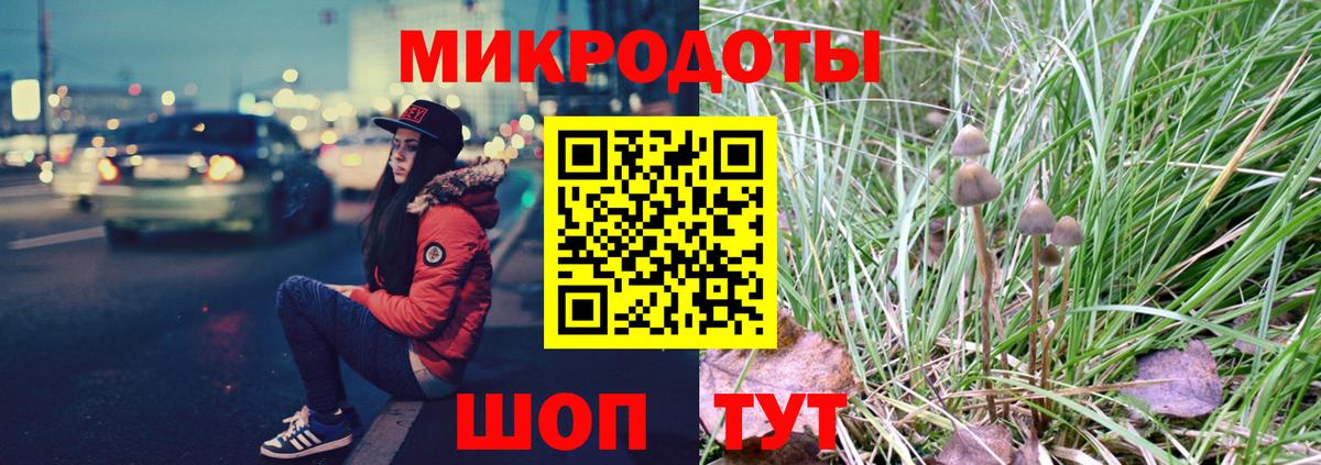 Галлюциногенные грибы Cubensis Лобня