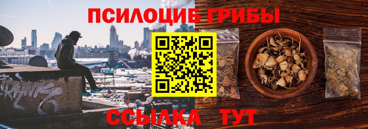 Псилоцибиновые грибы Psilocybe  Вход с VPN  где можно купить наркотик  Лобня 
